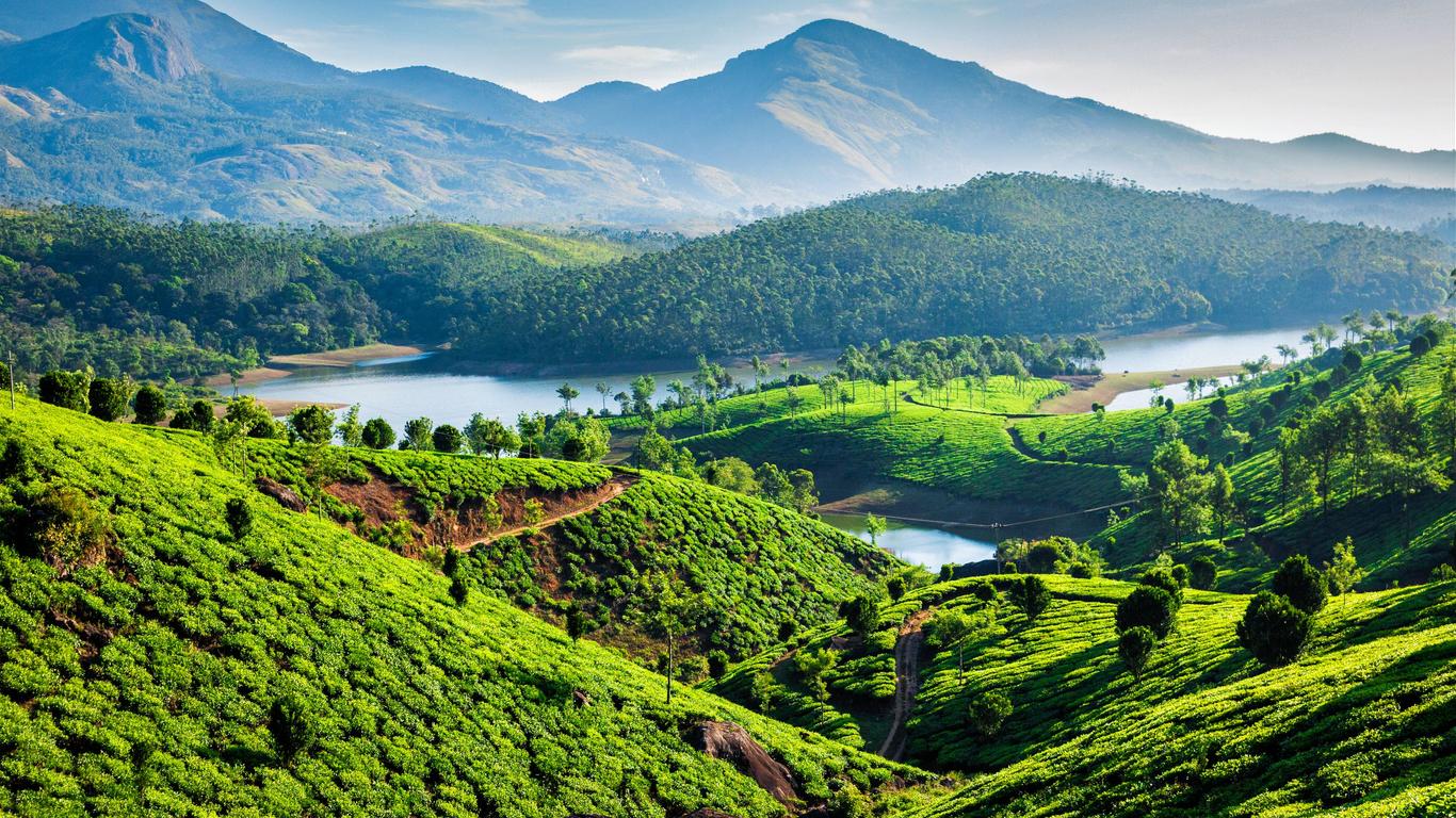Munnar, Kerala